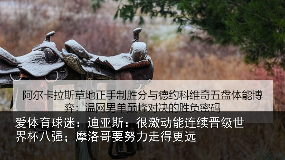 爱体育球迷：迪亚斯：很激动能连续晋级世界杯八强；摩洛哥要努力走得更远