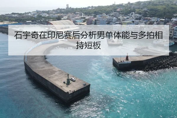 石宇奇在印尼赛后分析男单体能与多拍相持短板
