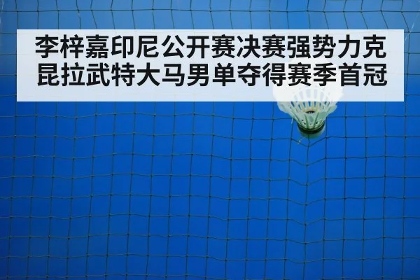 badminton net play